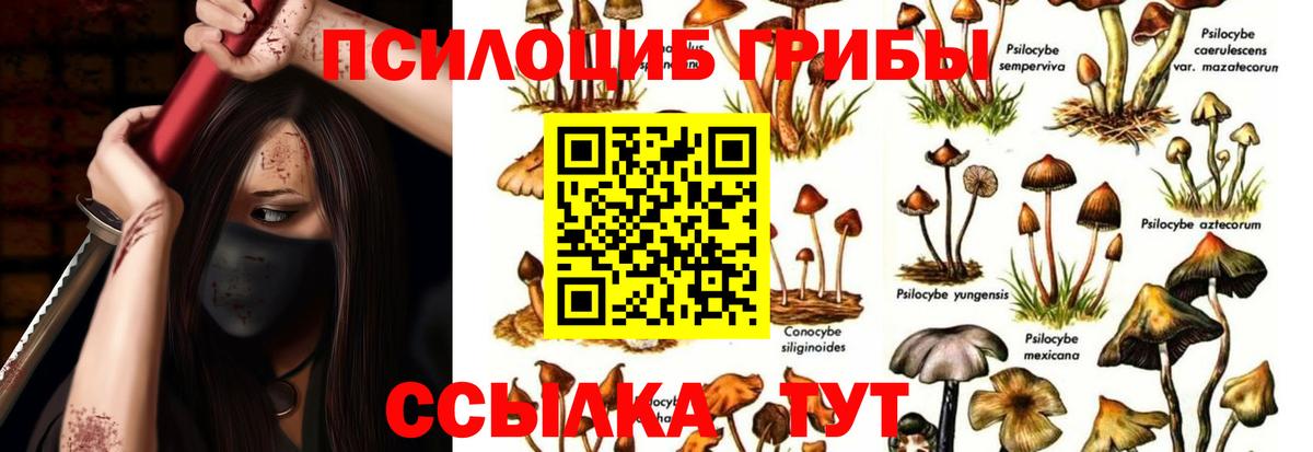 Галлюциногенные грибы GOLDEN TEACHER Томск