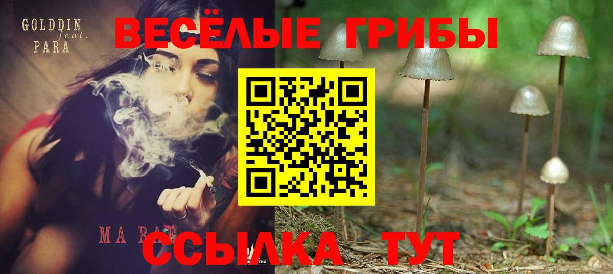 Томск  Псилоцибиновые грибы ЛСД  Галлюциногенные грибы мухоморы  Вход с VPN 
